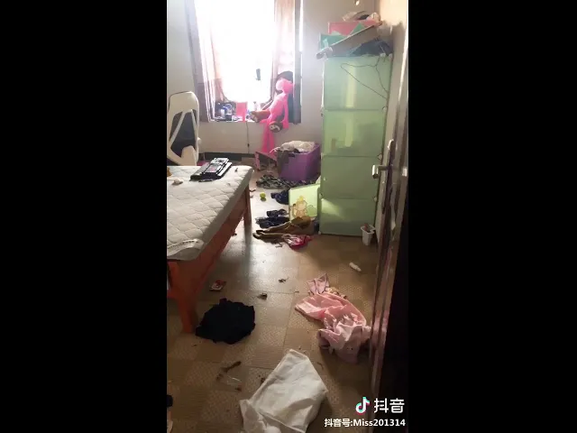 拆家狗 现场不堪入目